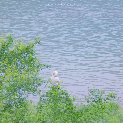 晋宁福瑞交流群